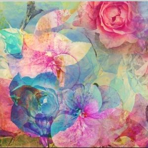 Meet your Posher, Estrella